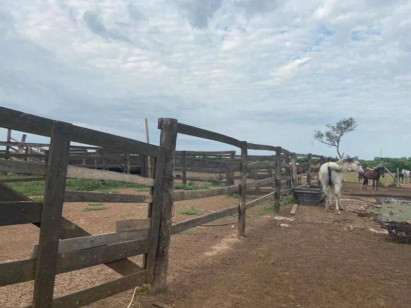 75.87-hectare rural property for sale 7 km from Paurito: foto 8 de 9