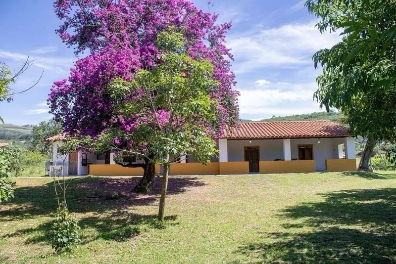 Productive 8,961 m² country property for sale with vineyards and cabin: foto 2 de 8
