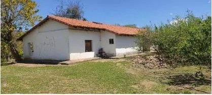 Productive 8,961 m² country property for sale with vineyards and cabin: foto 3 de 8