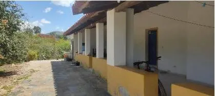 Productive 8,961 m² country property for sale with vineyards and cabin: foto 4 de 8