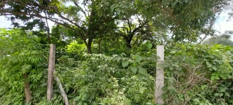 419.47 m² lot for sale in the San Silvestre development: foto 3 de 8
