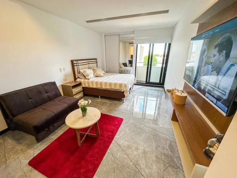 Brand-new furnished studio for rent in the Ares building: foto 2 de 8
