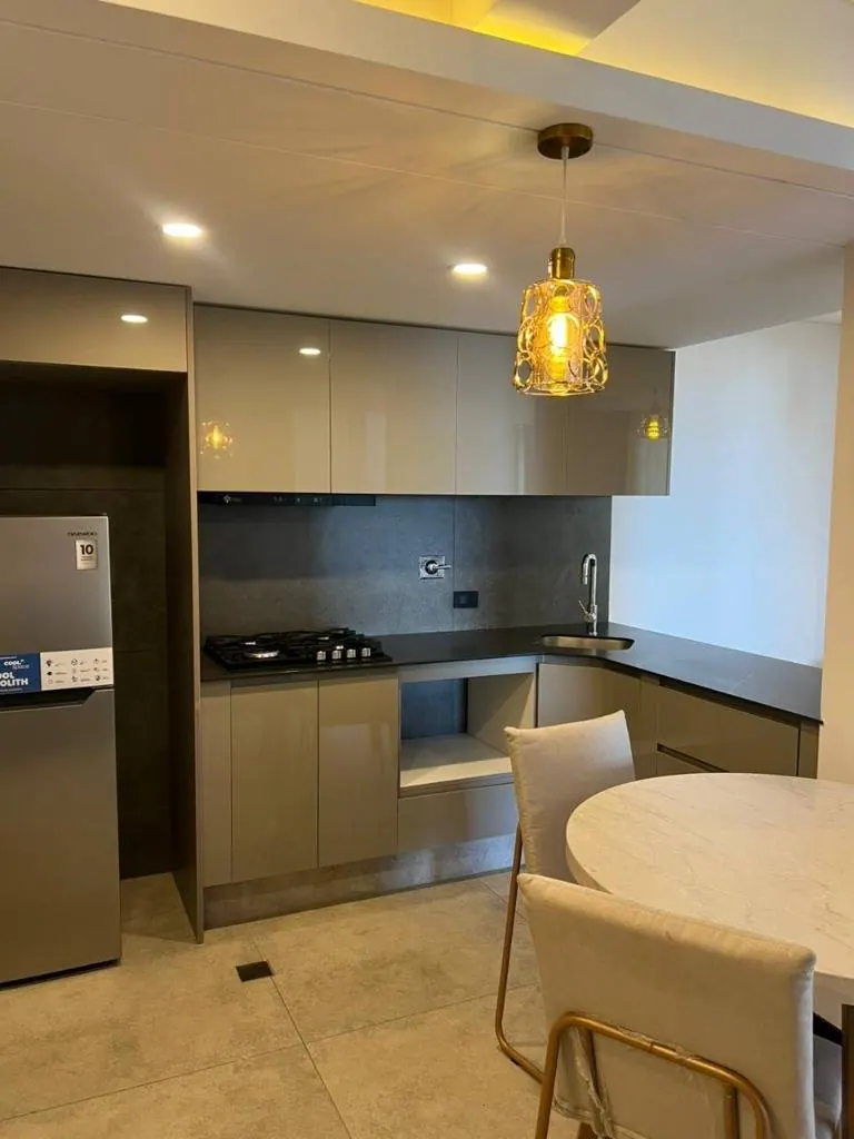 Furnished 1-bedroom apartment for rent in Torres Evolution: foto 2 de 8