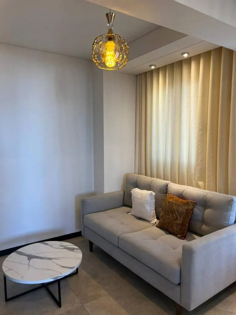 Furnished 1-bedroom apartment for rent in Torres Evolution: foto 4 de 8