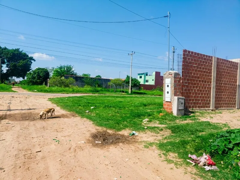 Terreno de 300 m² en venta en la urbanización Pentaguazú I, Warnes: foto 2 de 3