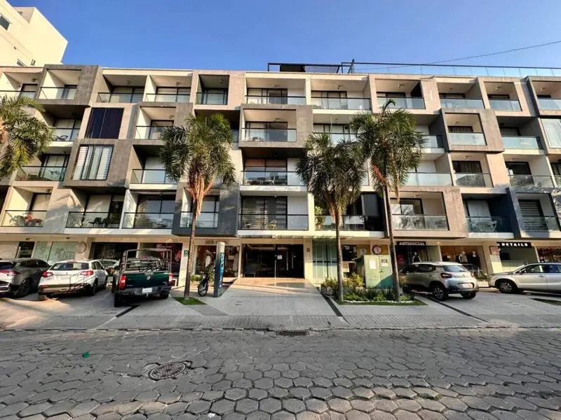 Furnished 1-bedroom apartment for rent in Edificio Nano