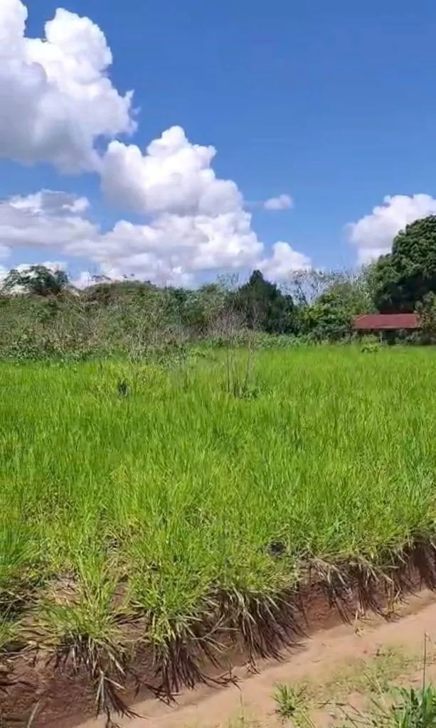 Terreno de 1.576,84 m² en venta en Ciudad Productiva, San Juan