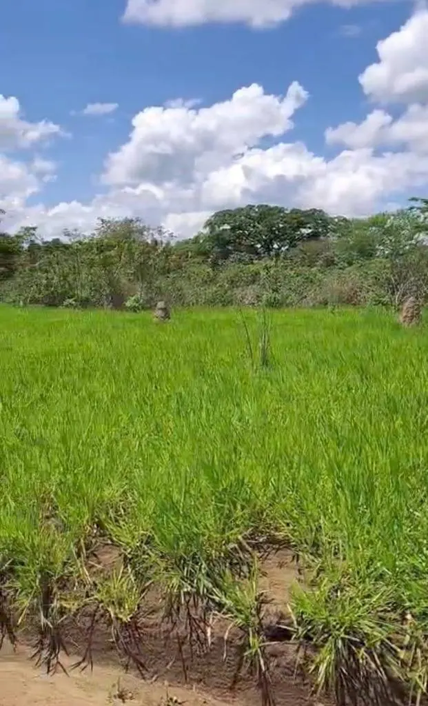 1,576.84 m² lot for sale in Ciudad Productiva, San Juan: foto 3 de 3