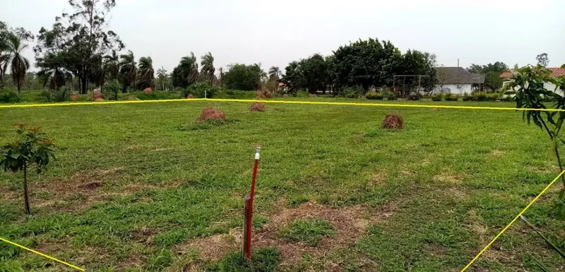 Terreno de 925 m² en venta en Complejo Campestre Norte, Warnes: foto 4 de 6