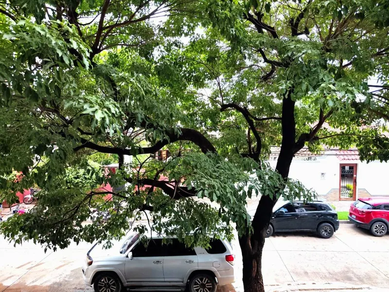 Monoambiente amoblado en alquiler en el edificio Brickell 1: foto 13 de 13