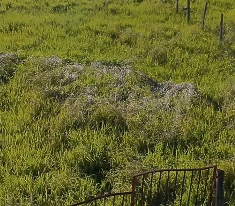 Terreno de 300 m² en venta en Warnes, zona Mercado Monumental: foto 3 de 3