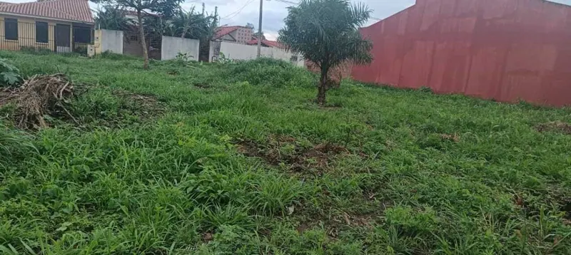 Terreno de 250,31 m² en venta en la urbanización Santa Cecilia: foto 2 de 6