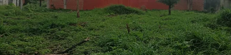 Terreno de 250,31 m² en venta en la urbanización Santa Cecilia: foto 3 de 6