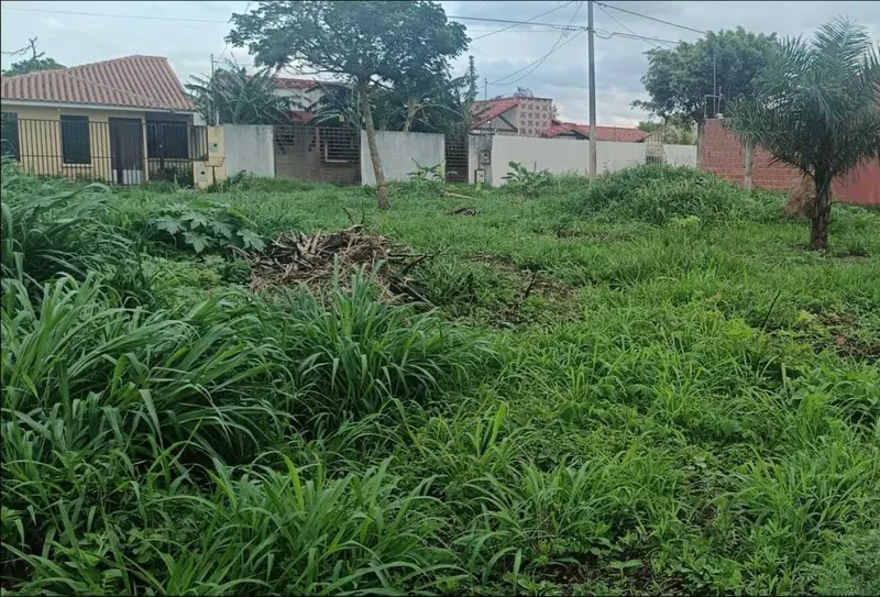 Terreno de 250,31 m² en venta en la urbanización Santa Cecilia: foto 4 de 6
