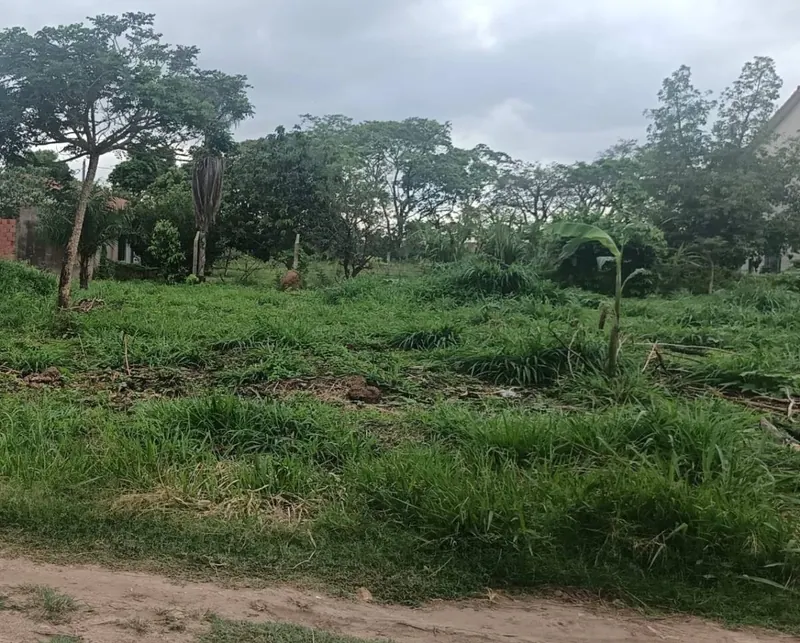 Terreno de 500,62 m² en venta en la urbanización Santa Cecilia: foto 6 de 9