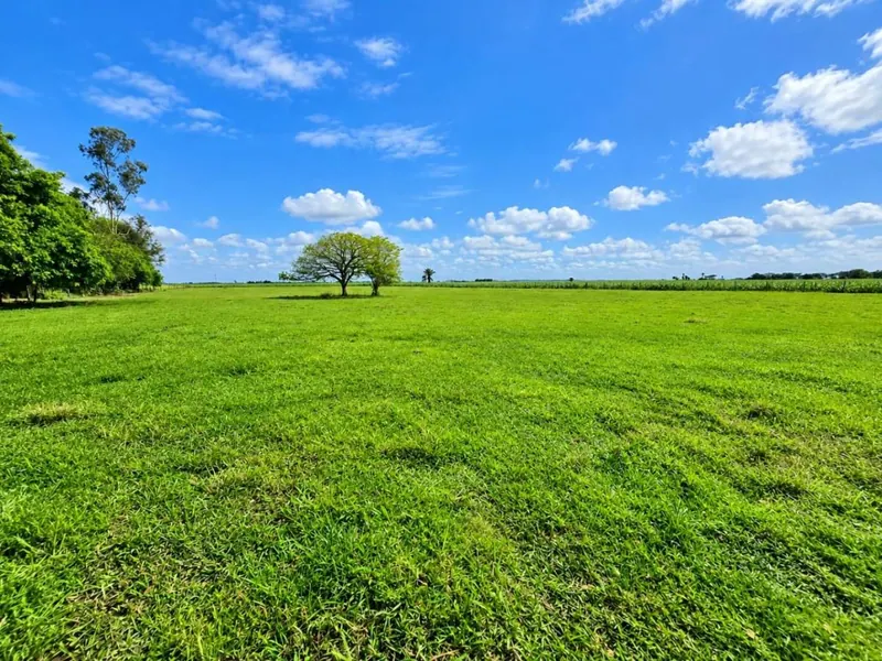 164-hectare sugarcane farm for sale in General Saavedra: foto 8 de 19