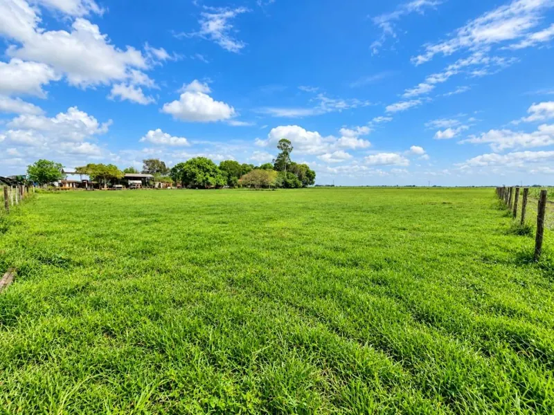 164-hectare sugarcane farm for sale in General Saavedra: foto 11 de 19