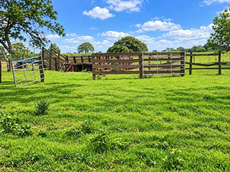 164-hectare sugarcane farm for sale in General Saavedra: foto 13 de 19