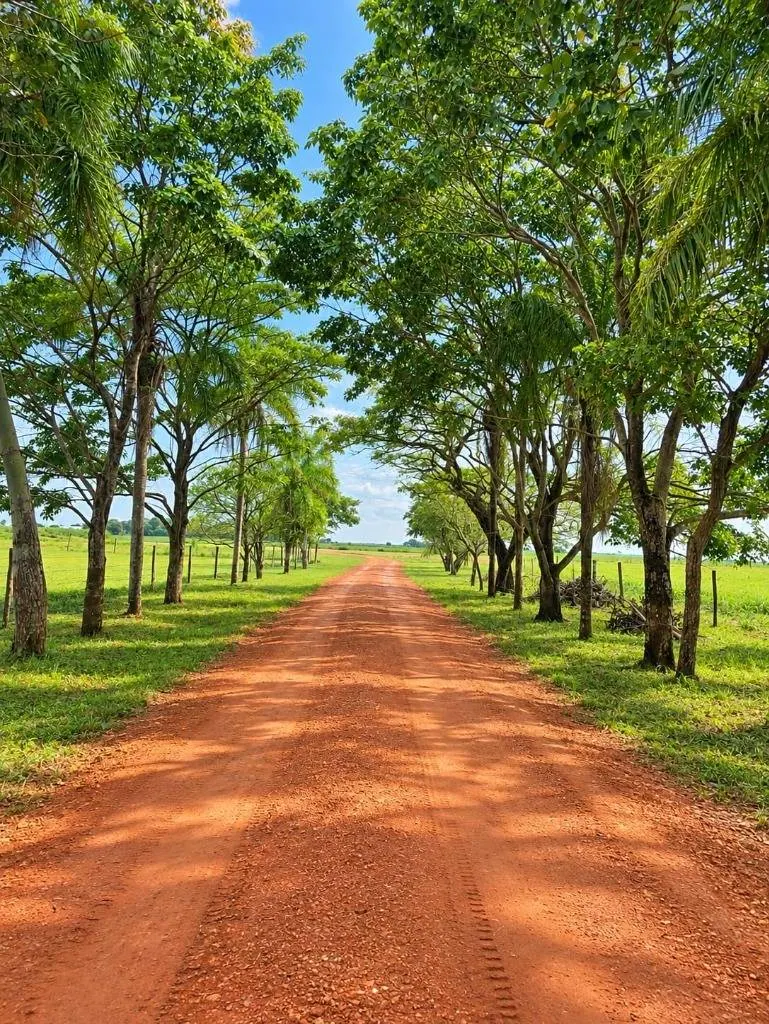 164-hectare sugarcane farm for sale in General Saavedra: foto 19 de 19