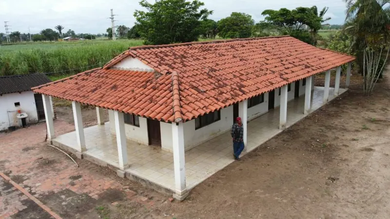 Propiedad cañera de 140 ha en venta en General Saavedra: foto 1 de 14