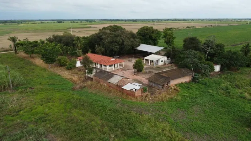 Propiedad cañera de 140 ha en venta en General Saavedra: foto 2 de 14