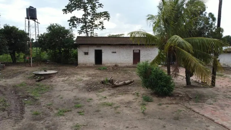 Propiedad cañera de 140 ha en venta en General Saavedra: foto 5 de 14