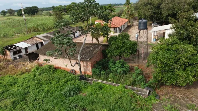 Propiedad cañera de 140 ha en venta en General Saavedra: foto 6 de 14