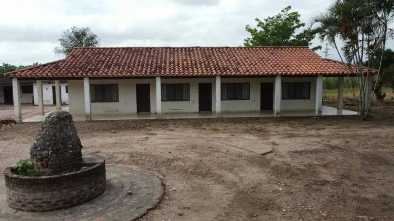 Propiedad cañera de 140 ha en venta en General Saavedra: foto 7 de 14
