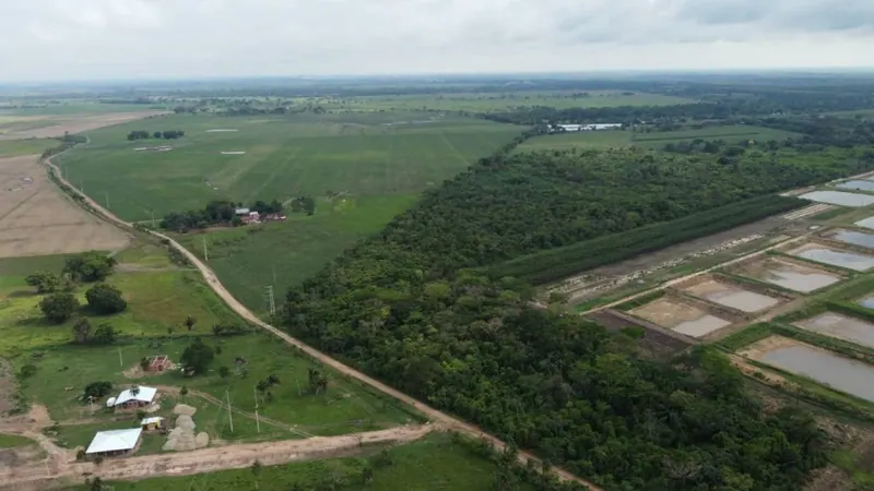 Propiedad cañera de 140 ha en venta en General Saavedra: foto 8 de 14
