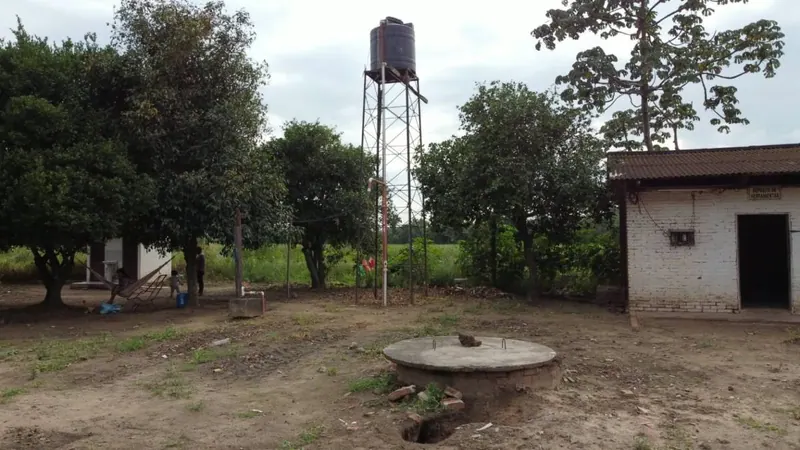 Propiedad cañera de 140 ha en venta en General Saavedra: foto 9 de 14