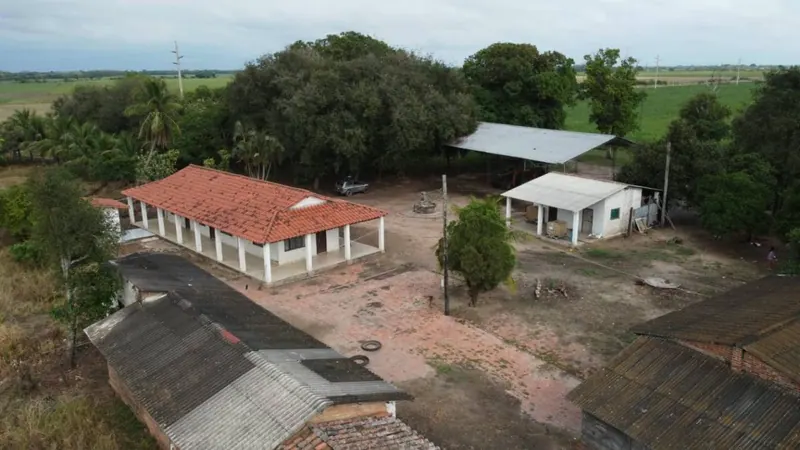 Propiedad cañera de 140 ha en venta en General Saavedra: foto 10 de 14