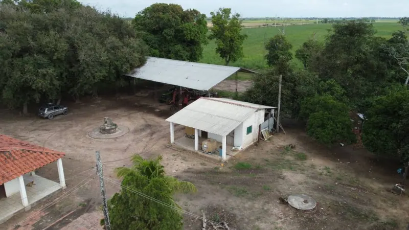 Propiedad cañera de 140 ha en venta en General Saavedra: foto 11 de 14