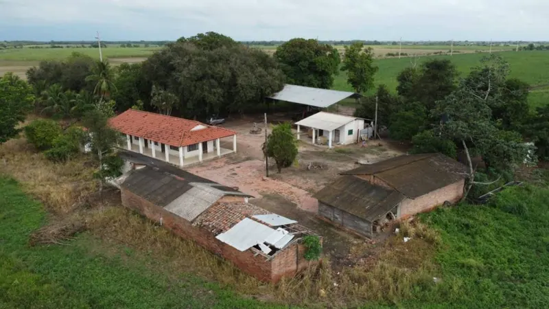 Propiedad cañera de 140 ha en venta en General Saavedra: foto 12 de 14