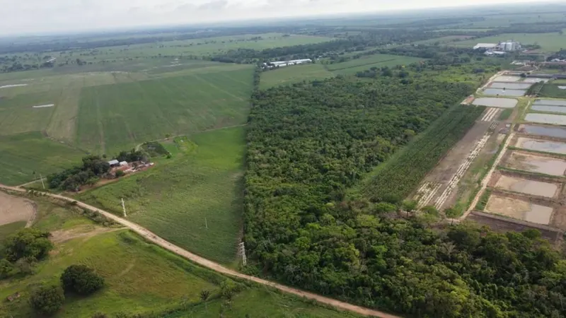 Propiedad cañera de 140 ha en venta en General Saavedra: foto 13 de 14