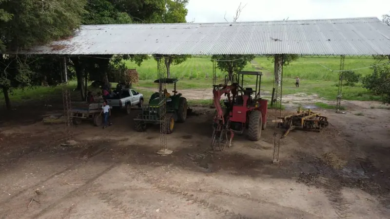 Propiedad cañera de 140 ha en venta en General Saavedra: foto 14 de 14