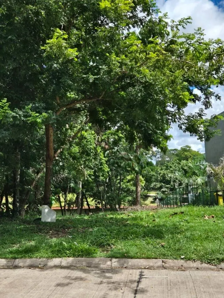 Terreno de 1.086,69 m² en venta en La Hacienda del Urubó: foto 4 de 11