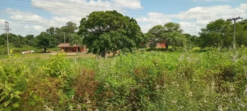 Terreno de 6.837,73 m² con galpón en venta al ingreso de Pailón: foto 1 de 10