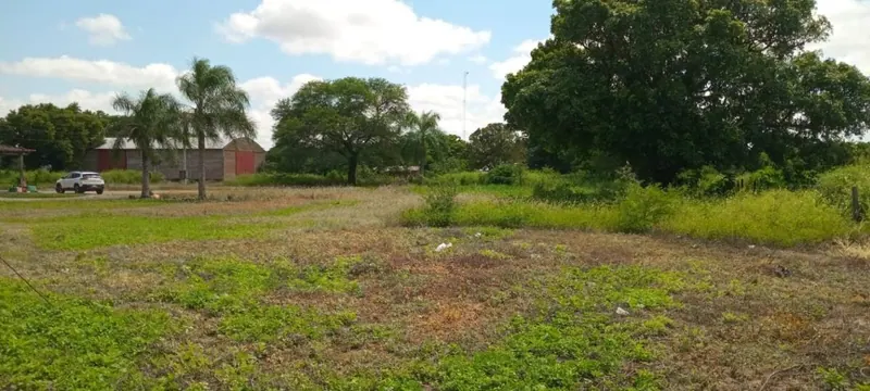 Terreno de 6.837,73 m² con galpón en venta al ingreso de Pailón: foto 7 de 10