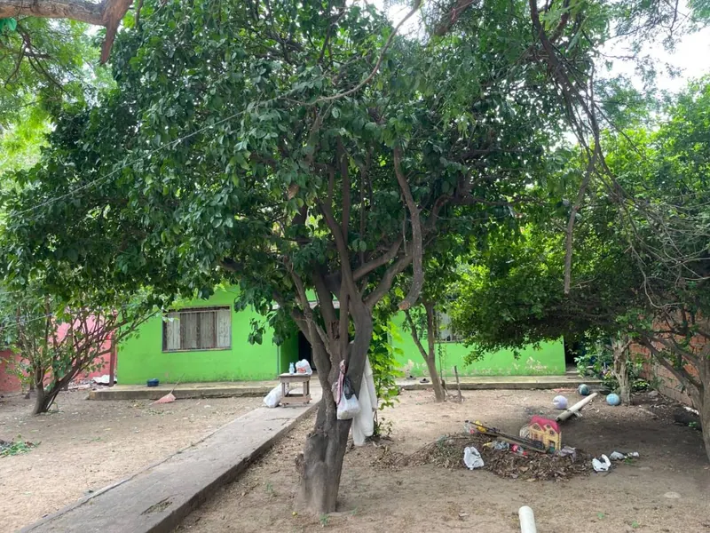 488 m² lot for sale in La Alemana, 7th ring, North Zone: foto 5 de 6