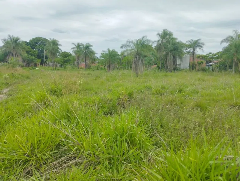 Terreno de 300 m² en venta en la Urb. Gran Paitití, Warnes: foto 4 de 5