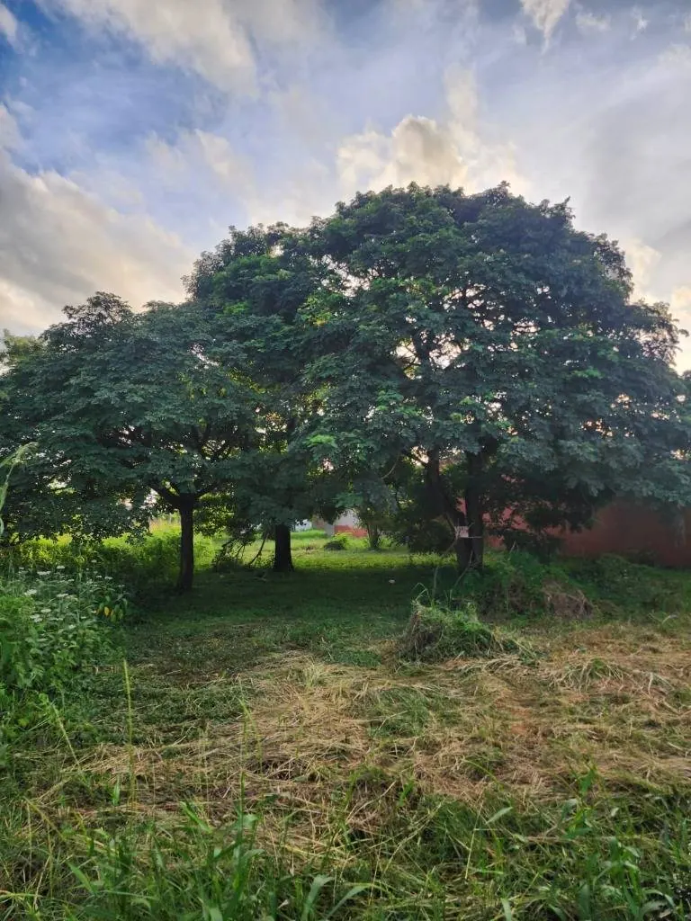 360 m² lot for sale in the La Esperanza II development, Montero: foto 2 de 2