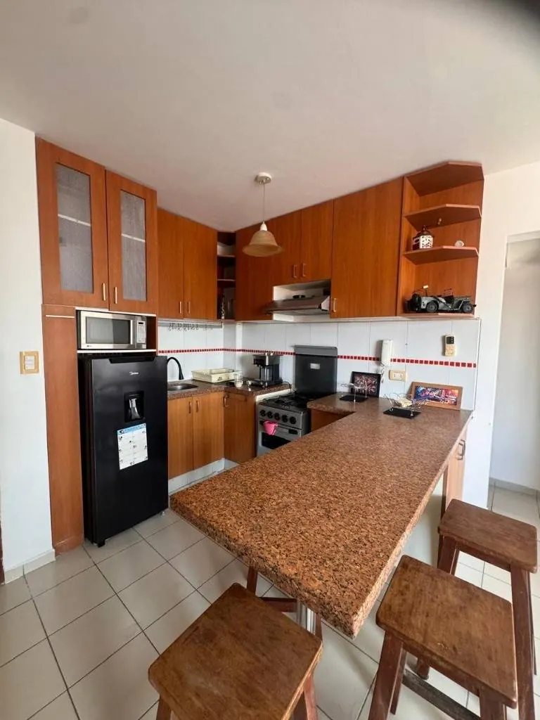 Departamento amoblado de 1 dormitorio en alquiler en el Centro: foto 3 de 8