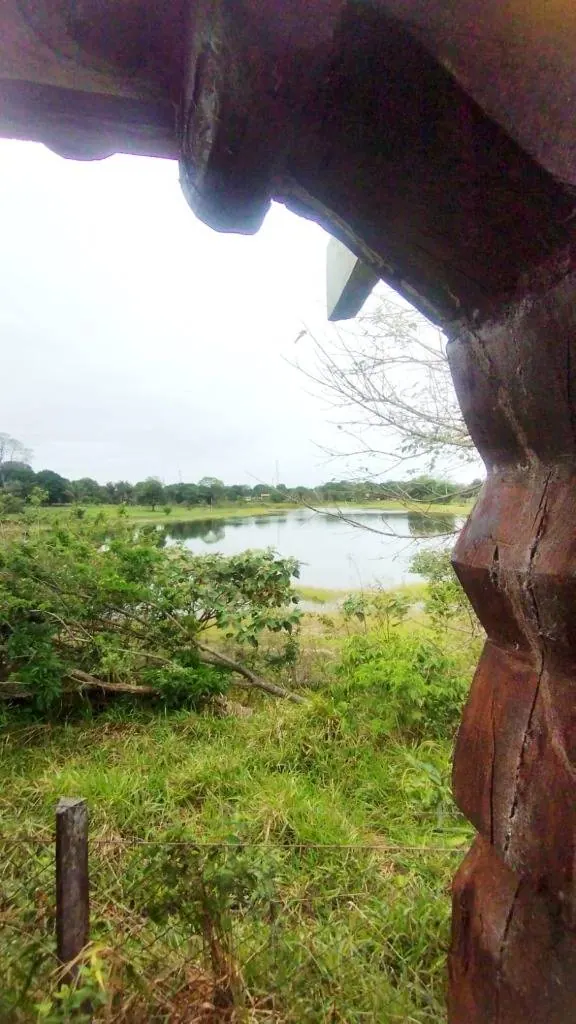 Terreno de 486,5 m² en venta junto a la laguna: foto 2 de 5