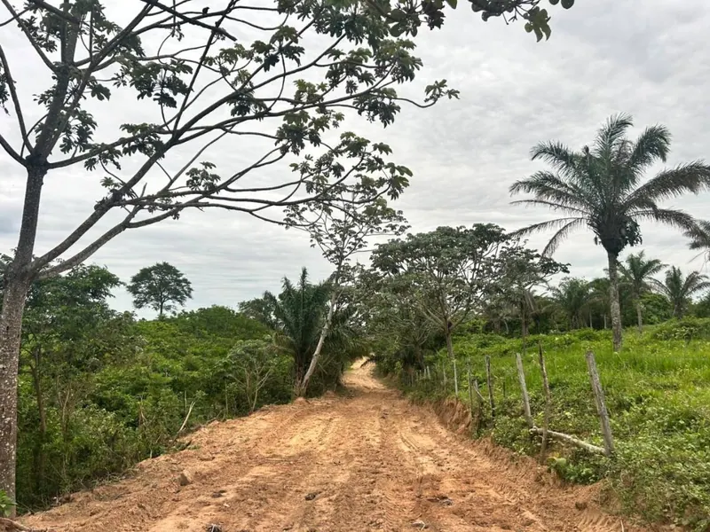 Terreno de 11,87 hectáreas en venta en Porongo, Urubó: foto 2 de 13