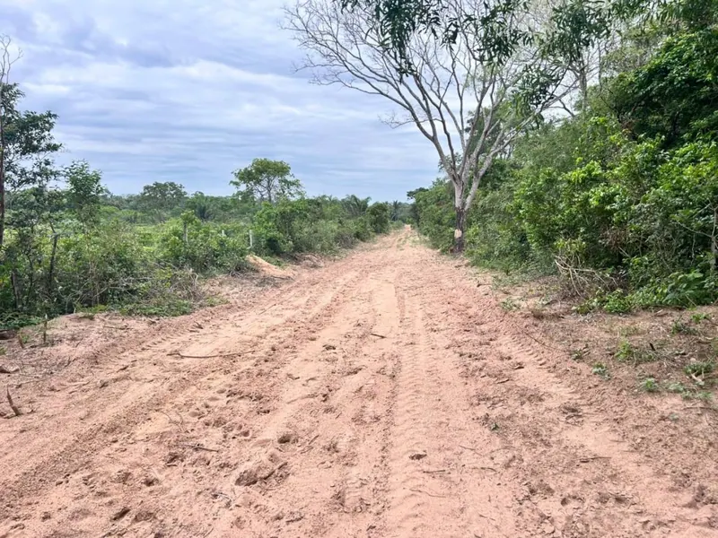 Terreno de 11,87 hectáreas en venta en Porongo, Urubó: foto 3 de 13