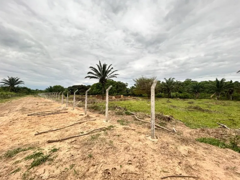 Terreno de 11,87 hectáreas en venta en Porongo, Urubó: foto 4 de 13
