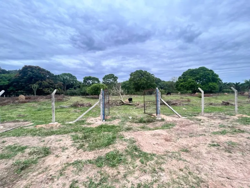 Terreno de 11,87 hectáreas en venta en Porongo, Urubó: foto 5 de 13