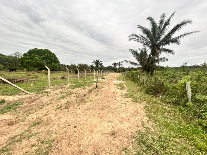 Terreno de 11,87 hectáreas en venta en Porongo, Urubó: foto 6 de 13