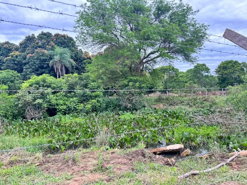 Terreno de 11,87 hectáreas en venta en Porongo, Urubó: foto 7 de 13
