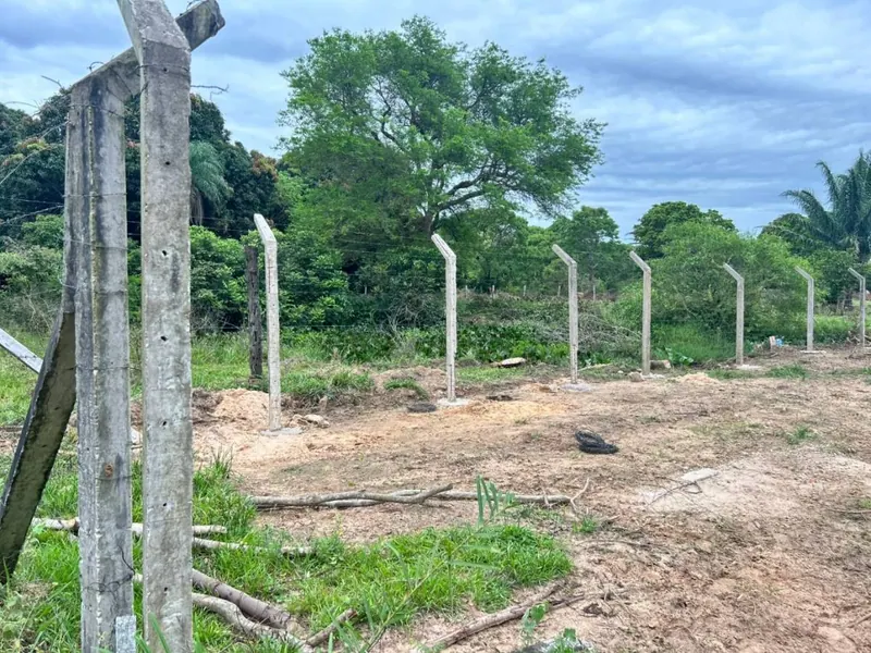 Terreno de 11,87 hectáreas en venta en Porongo, Urubó: foto 8 de 13